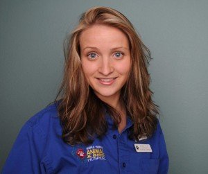 kristi