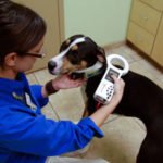 microchipping