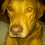 IMG-20120223-00002
