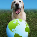 earthdaydog