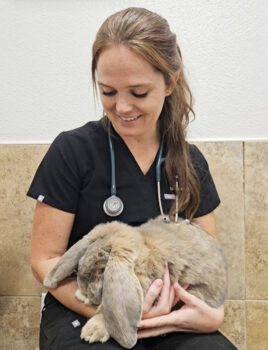 Birds, Reptiles, Rabbits & Small Animals Exotics 1 exotic animal vet tampa fl