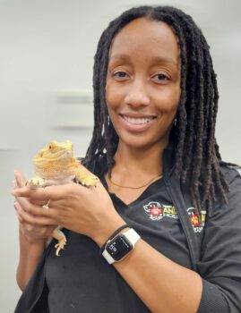 Birds, Reptiles, Rabbits & Small Animals Exotics 2 1 exotic animal vet tampa fl