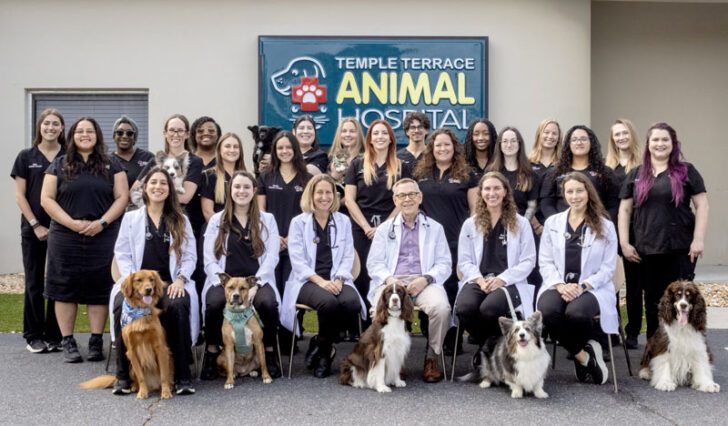 Temple Terrace Animal Hospital