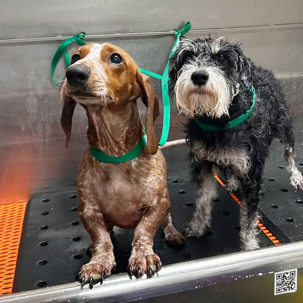 Salon Baths