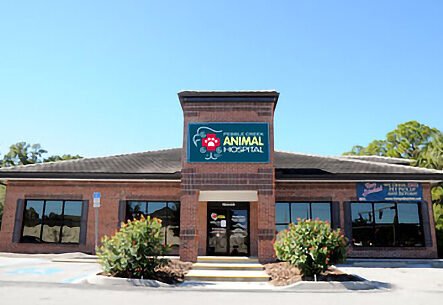 Welcome to Tampa Bay Animal Hospitals - Tampa, Florida