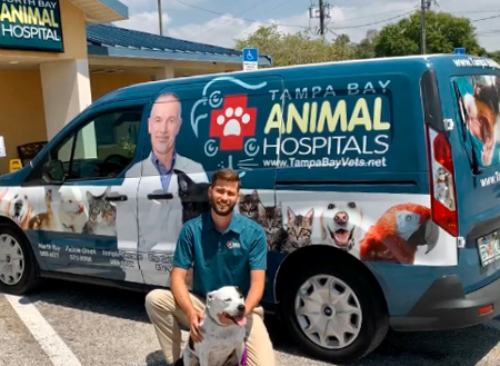 all creatures mobile vet