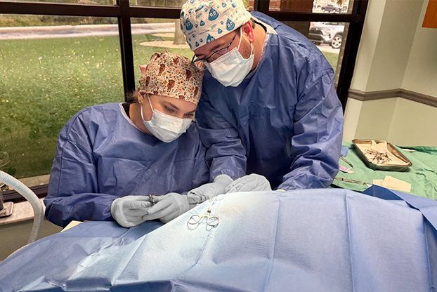 Emergency & Critical Care