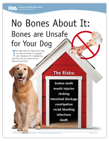No Bones About It: Bones are Unsafe for Your Dog