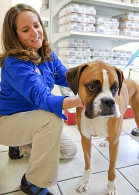 The Importance of Semi Annual Heartworm Tests