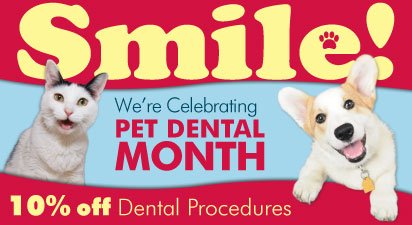 October is Pet Dental Month!