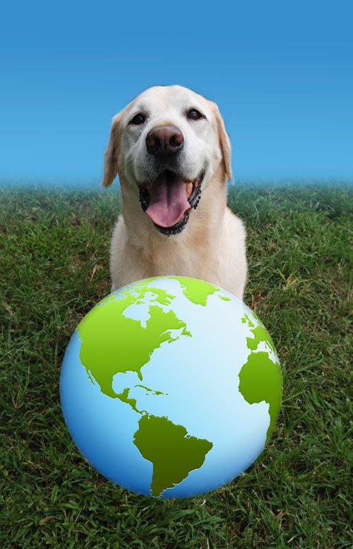 Celebrating Earth Day With Your Pet
