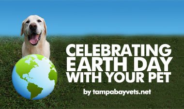 Celebrating Earth Day With Your Pet