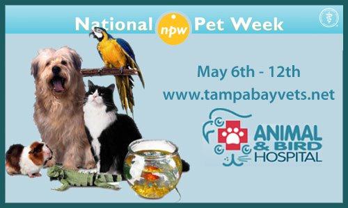 National Pet Week is Here!