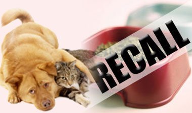 The Latest Pet Food Recall Information