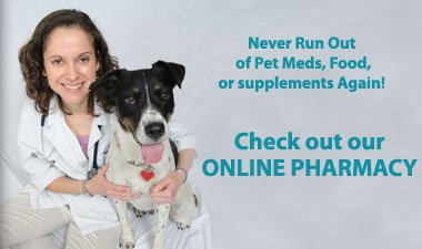 Pet Medication & Home Delivery Store