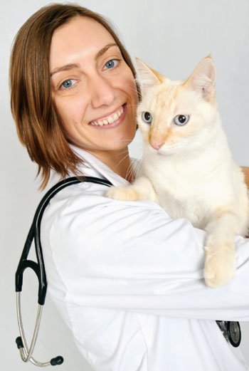 Know the Signs Your Cat May Be Sick