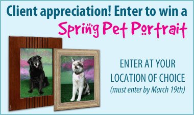 Enter To Win a Spring Pet Portrait!