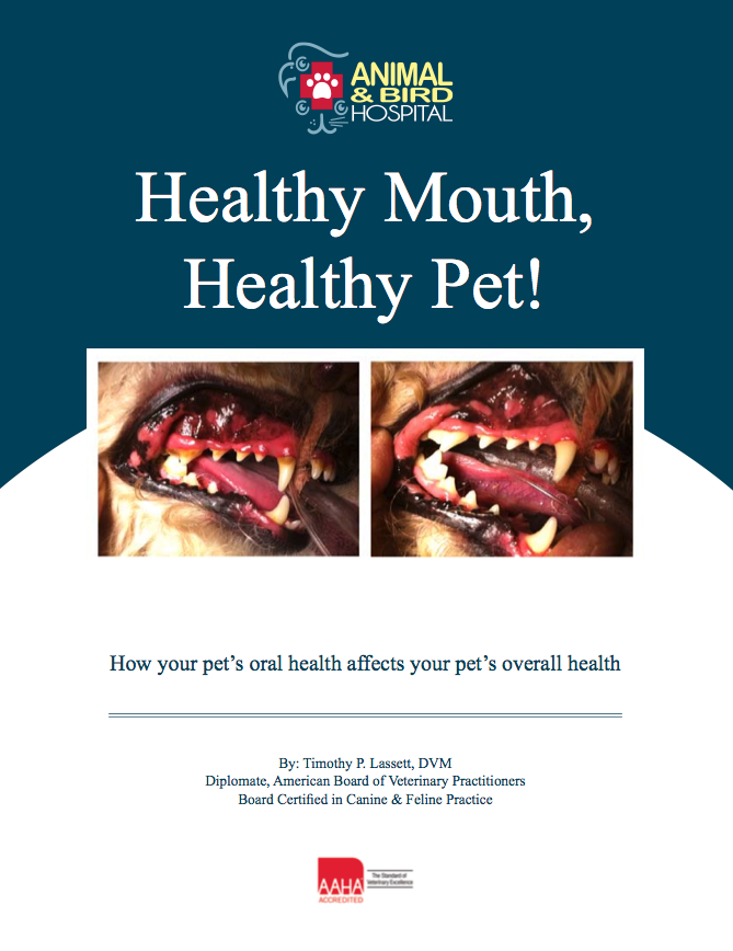 Healthy Mouth, Healthy Pet!  Download our Free Whitepaper!