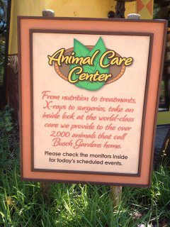 Temple Terrace Animal & Bird Hospital Tours the Animal Care Center at Busch Gardens