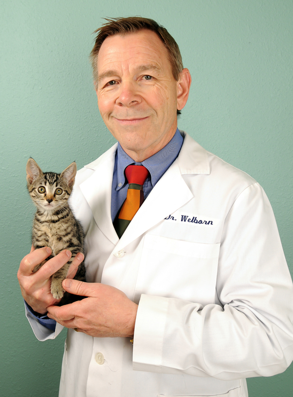 Are Booster Vaccines Necessary for Cats?