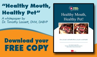 Healthy Mouth, Healthy Pet!