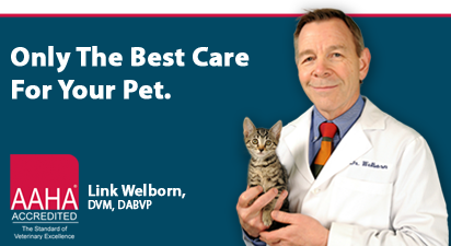 Dr. Link Welborn Recognized with 2013 AVMA Award