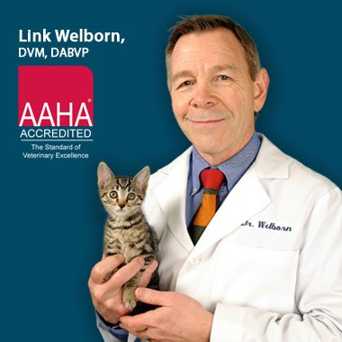 Dr. Link Welborn Recognized With 2013 AVMA President’s Award