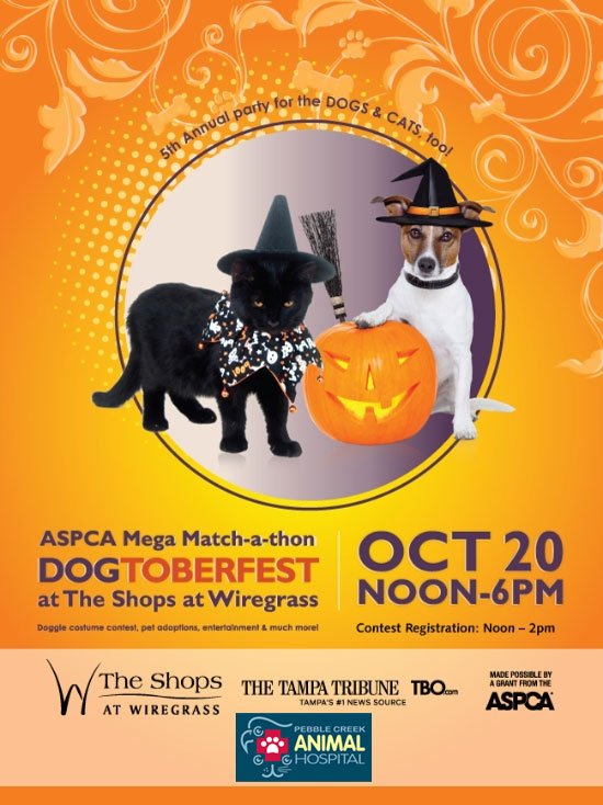 Dogtoberfest 2013