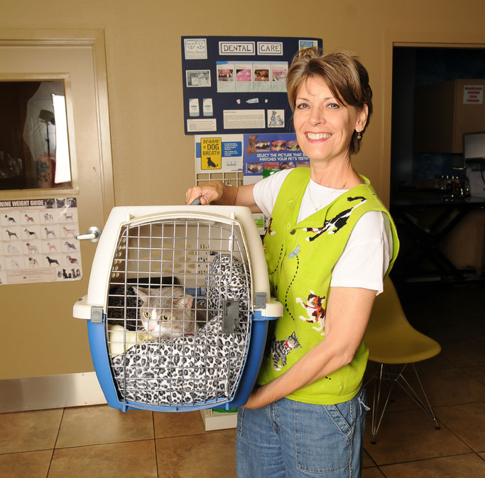 Stress Free Veterinary Visits For Your Cat