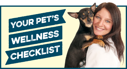 Your Pet’s Wellness Checklist