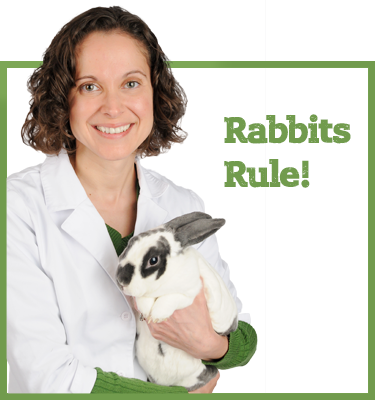 10 Reasons Why Rabbits Rule
