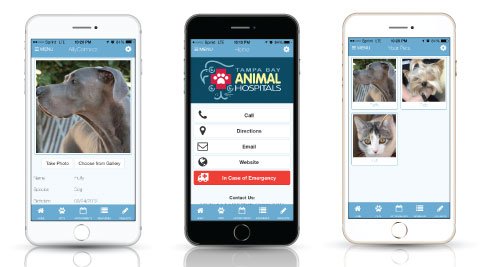 A New Mobile App For Your Pet!