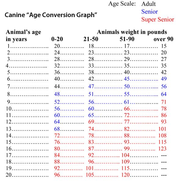 canine_age_conversion_graph