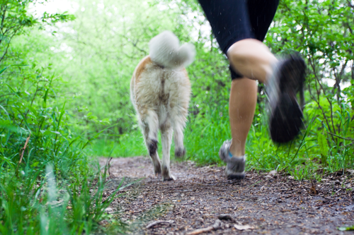 The Benefits of Walking Your Dog