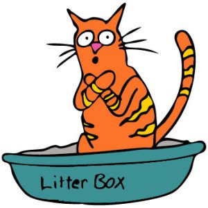 Cat in litter box cartoon | Tampa Bay Animal Hospitals
