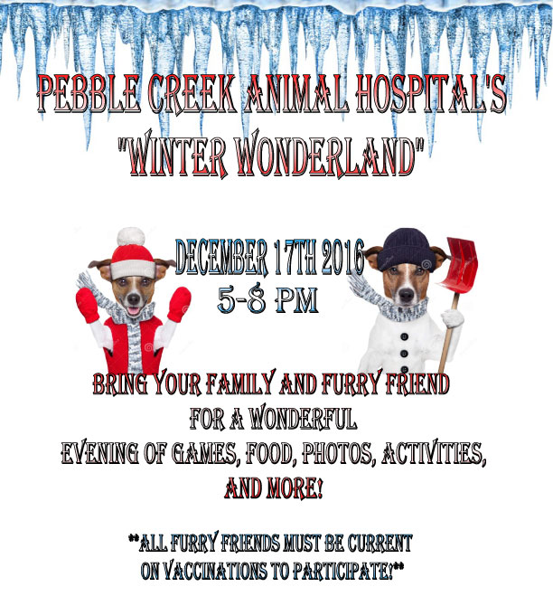 Winter Wonderland at Pebble Creek Animal Hospital