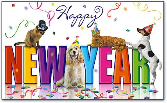 Keeping Your Pet Calm and Happy on New Years Eve