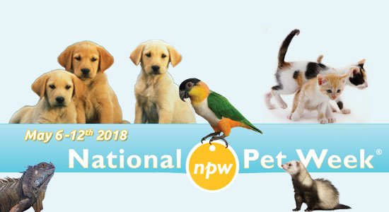 May 6-12, 2018 is National Pet Week