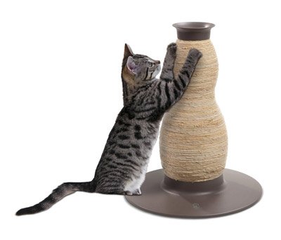 The Perfect Scratching Post