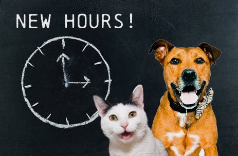 New Hours in 2020