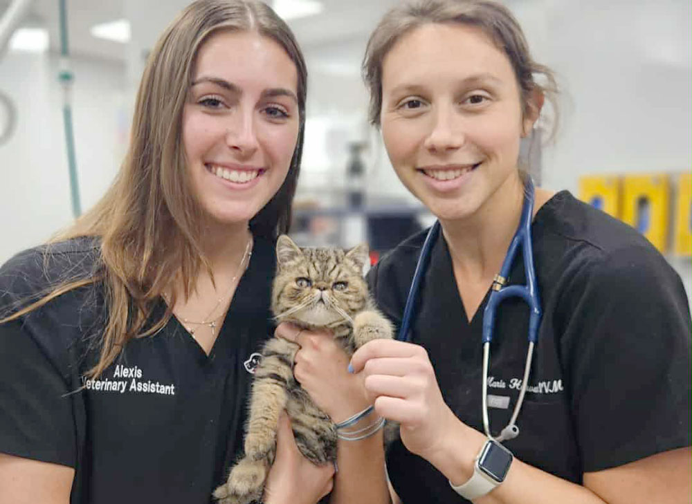 Air/Ground Travel With Your Pet(s)