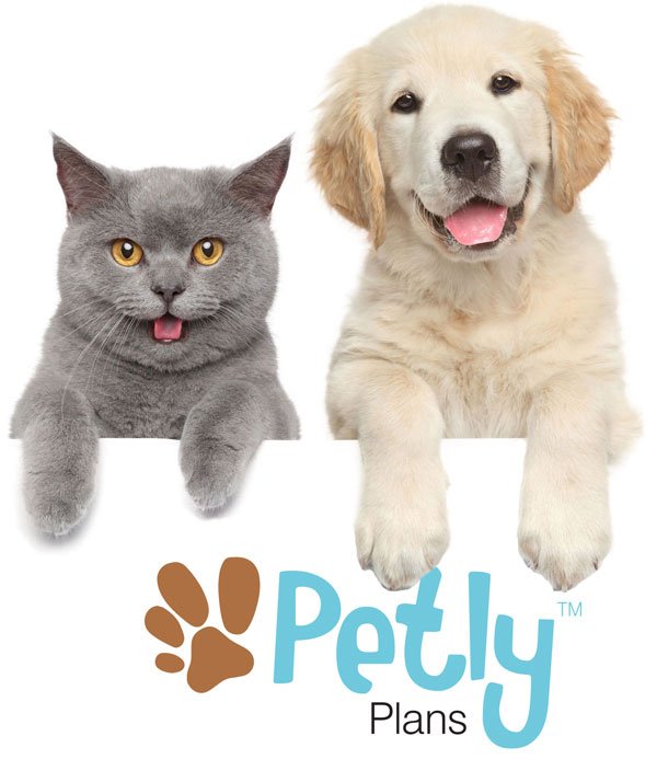 Puppy & Kitten Petly Plans