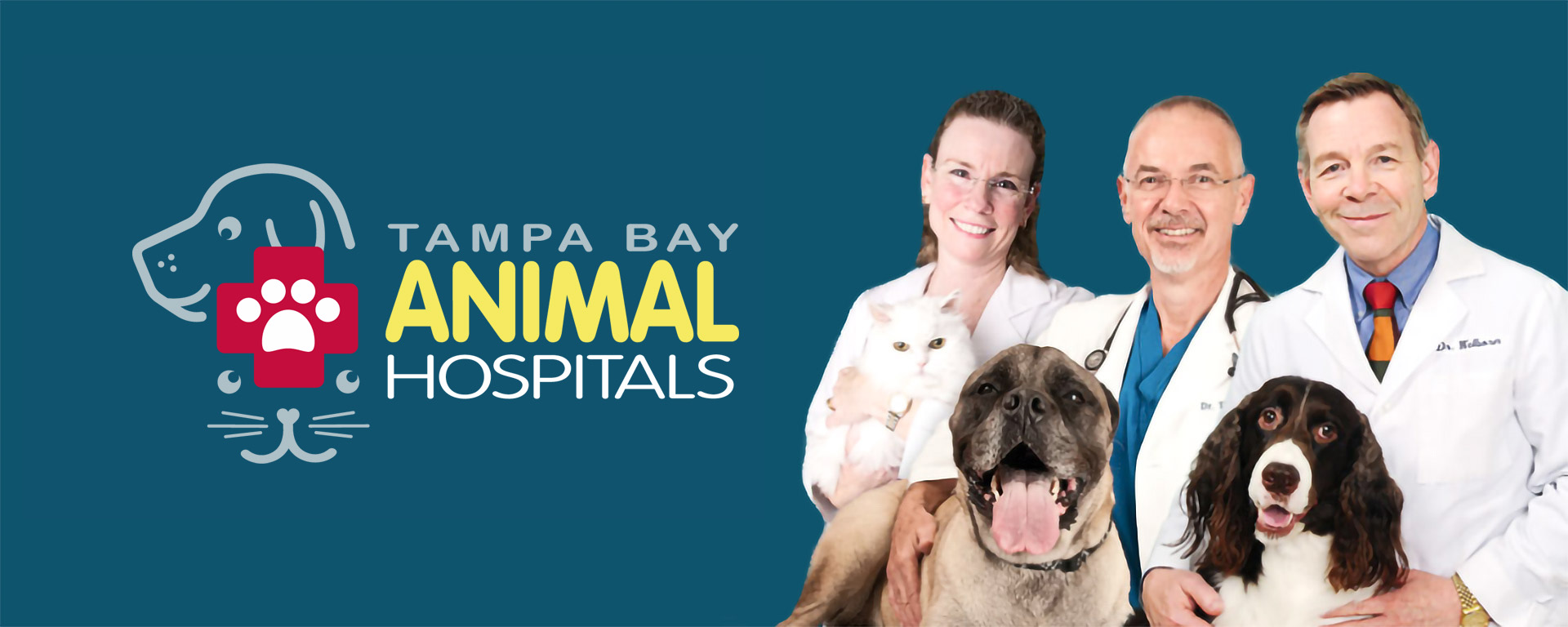 6 Pet Hospital Locations: Tampa Bay Animal Hospital Group - Tampa, FL
