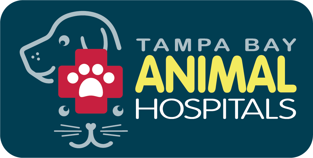 Pebble Creek Animal Hospital - Tampa, FL - Tampa Bay Pet Clinics