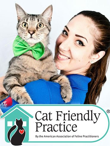 Cat-Friendly Practice®