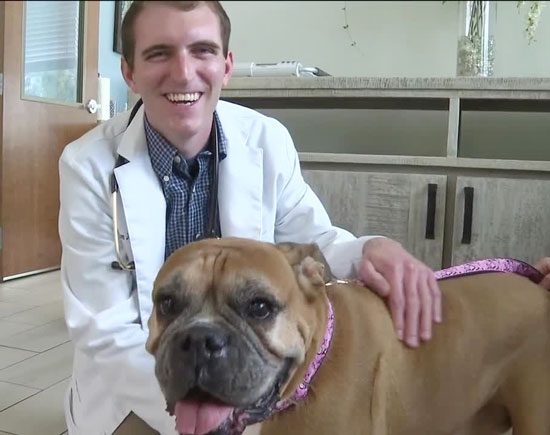 Dr. William Smith uses new cancer treatment to treat pet