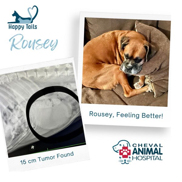 Happy Tail: Rousey