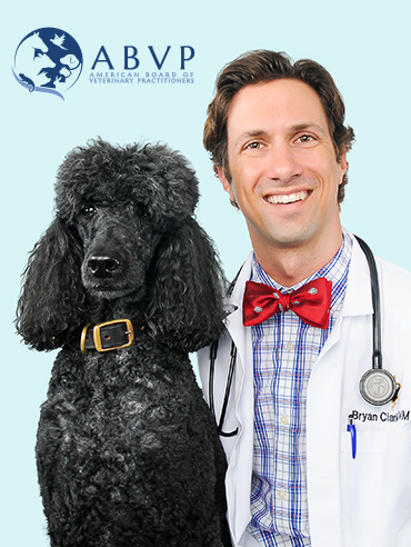 ABVP Certifies Dr. Bryan Clarke of All Creatures Animal Hospital