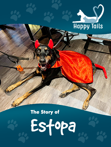 Happy Tails: The Story of Estopa