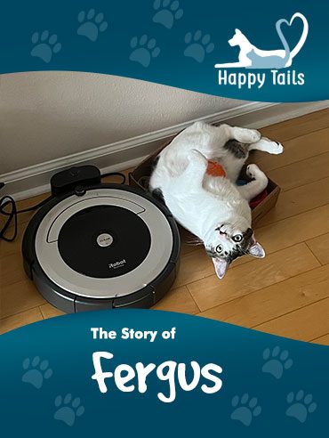 Happy Tails: The Story of Fergus